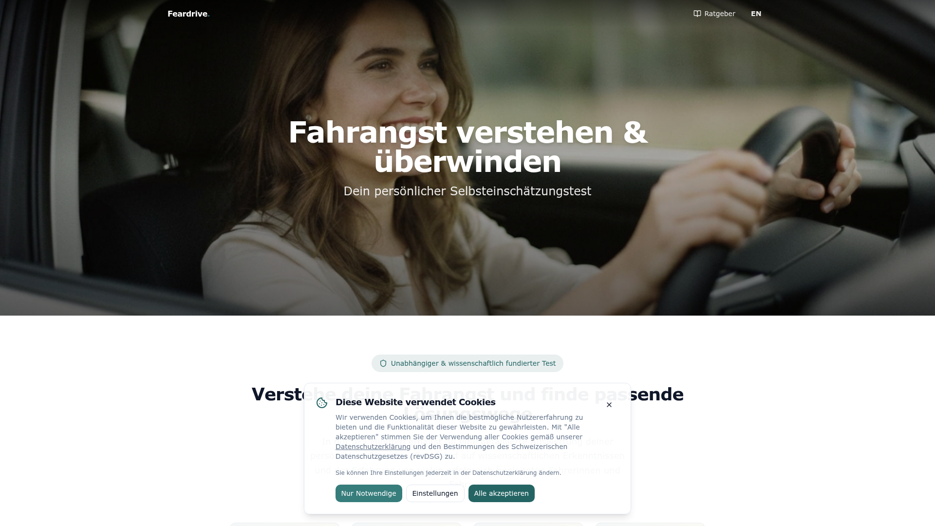 Vorschau Feardrivecheck